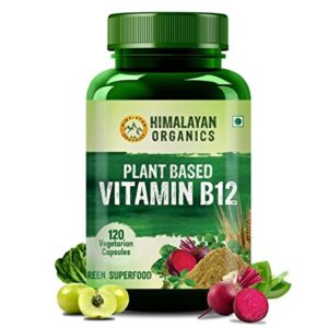 Himalayan Organics Organic B12 500mg Vegetarian Capsule